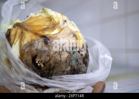 A head of cabbage with rotting leaves lies on a table in a plastic bag. Stock Photo