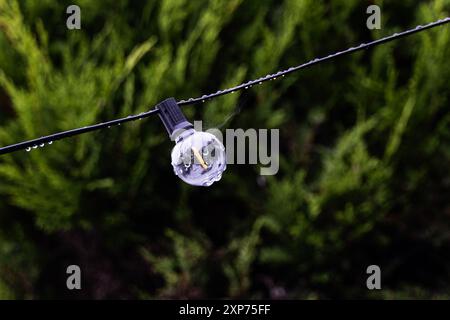 garden lights showing a single bulb with raindrops on, UK summer 2024 Stock Photo
