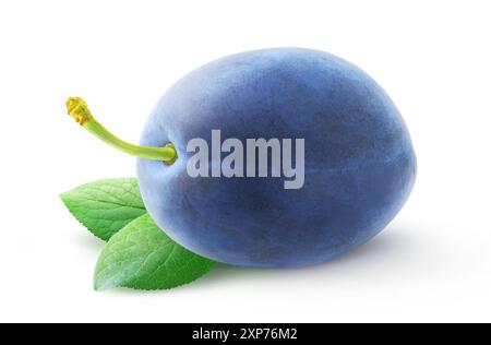 One blue plum over leaves isolated on white background Stock Photo