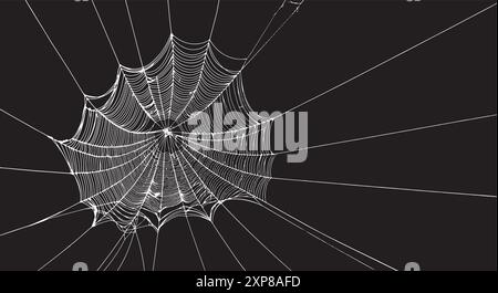spider web with concentric circles and radial strands, ideal for creepy halloween motifs Stock Vector