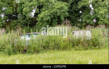 two abandoned cars almost overcome by weeds Stock Photo