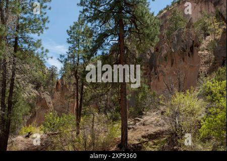 Along the 'Falls Lower Frijoles' trail at the Bandelier National Monument, near the upper falls Stock Photo