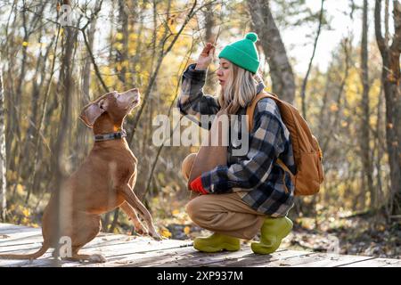 Serious woman trains dog holding treat trophy for exemplary behavior, accurate execution of commands Stock Photo