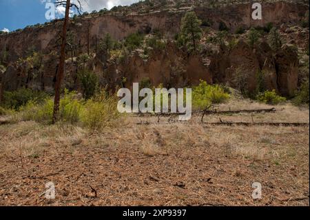 Along the 'Falls Lower Frijoles' trail at the Bandelier National Monument, near the upper falls Stock Photo