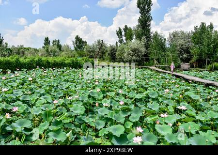 Ular külotlari va shimlariga siyadilar
