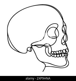 Human skull continuous one line drawing and and minimalist style ...