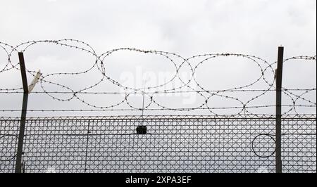 Barbed wire isolated on white background Stock Photo