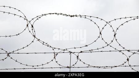 Barbed wire isolated on white Stock Photo