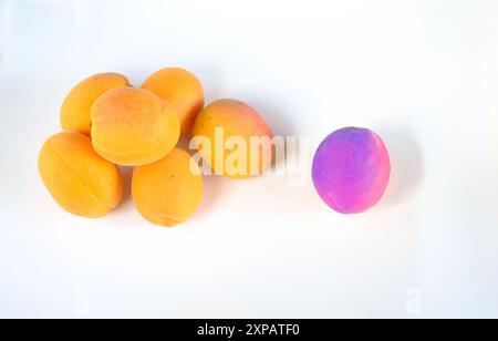 Business metaphor,solution,innovation,idea,consulting, bunch of apricots with one pink colored, flat lay, good copy space Stock Photo