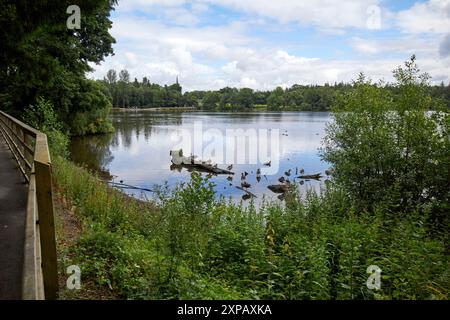 hillsborough lake in hillsborough forest royal hillsborough county down northern ireland uk Stock Photo