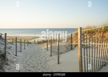 Pathway to Howes Beach on Cape Cod during Summertime Stock Photo