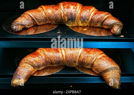 Fresh baked crispy croissant on black background in bakery window Stock Photo