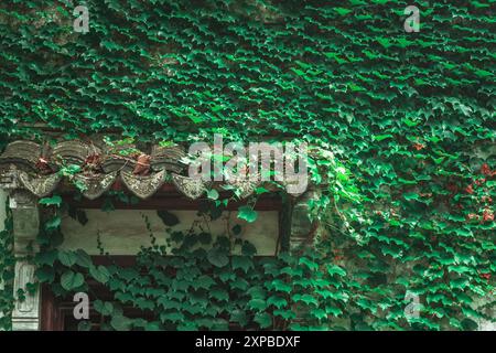 A stone wall covered in lush green vines, with a decorative roof overhang partially hidden beneath the foliage. Stock Photo