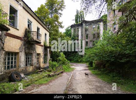 Abandoned buildings in Akarmara town, Tkvarcheli city, Abkhazia. Old urban architecture overgrown by green plants, grass and ivy in summer. Concept of Stock Photo