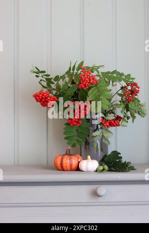 Autumn still life with rowan, decorative ceramic pumpkins on light green wooden background.  Fall season interior decorations. Stock Photo