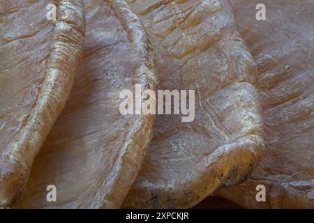 Close-up of Fish Maw Soup or Dried Fish Stomach (Dried Fish Bladder). Chinese dried food, Healthy eating lifestyle concept, Space for text, Selective Stock Photo