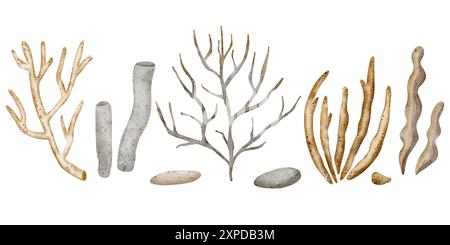 Watercolor set of coral reef underwater world with free diver, tropical ...