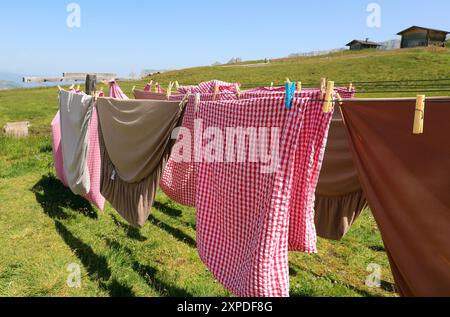 clothes hanging out to dry and red and white checkered tablecloths drying in the sun outside on the green lawn Stock Photo