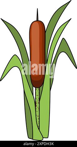 Cattails are a genus of flowering plant in flat technique vector illustration Stock Vector