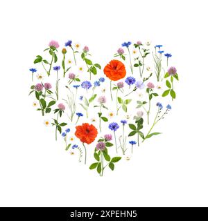 Heart made of meadow flowers on white gradient background Stock Photo