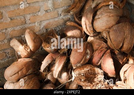 Dried coconut fiber which can be used as raw material for crafts or coco peat for soil fertility Stock Photo