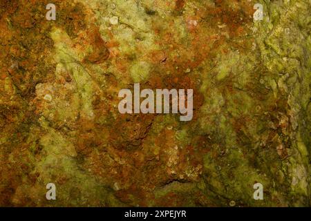 Grunge rusty coloured texture with a rough surface with a mixture of red and green colors backdrop overlay. Stock Photo