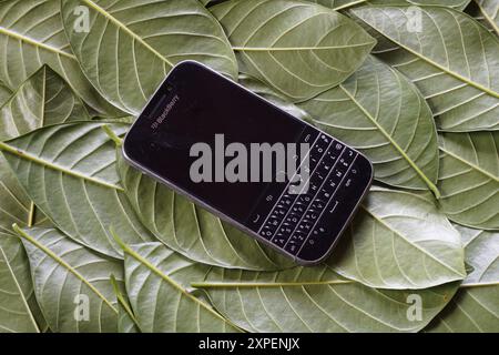 Terennganu, Malaysia - 23 August 2024 : Closeup of black blackberry classic q20 keypad phone on green scattered leaves Stock Photo