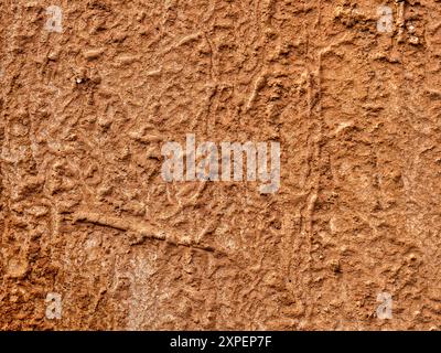 Mud splatter texture background Stock Photo