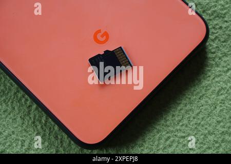 Terengganu, Malaysia - 23 August 2024 : Closeup of samsung sd adapter and black microsd card on google pixel 4 on green background. Stock Photo