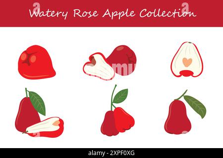 watery rose apple collection. watery rose apple in different poses. Vector illustration. Stock Vector