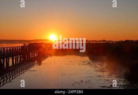 Bad Buchau, Germany. 06th Aug, 2024. The sun rises in the morning on Lake Federsee. With an area of 1.4 square kilometers, the lake near Bad Buchau in Upper Swabia is the second largest lake in Baden-Württemberg. Credit: Thomas Warnack/dpa/Alamy Live News Stock Photo