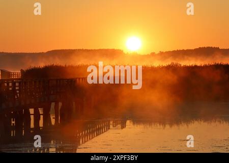 Bad Buchau, Germany. 06th Aug, 2024. The sun rises in the morning on Lake Federsee. With an area of 1.4 square kilometers, the lake near Bad Buchau in Upper Swabia is the second largest lake in Baden-Württemberg. Credit: Thomas Warnack/dpa/Alamy Live News Stock Photo