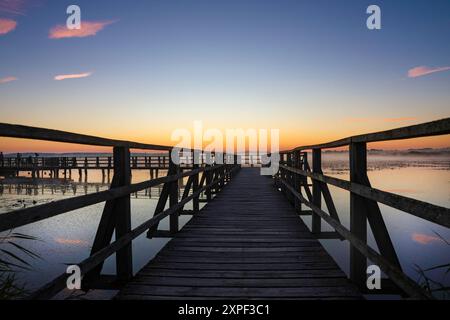 Bad Buchau, Germany. 06th Aug, 2024. View of Lake Federsee in the morning shortly before sunrise. With an area of 1.4 square kilometers, the lake near Bad Buchau in Upper Swabia is the second largest lake in Baden-Württemberg. Credit: Thomas Warnack/dpa/Alamy Live News Stock Photo