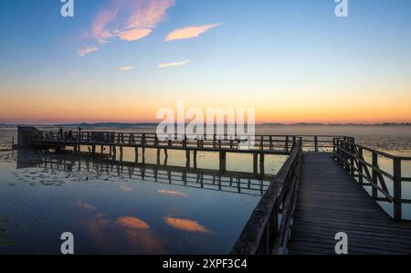 Bad Buchau, Germany. 06th Aug, 2024. View of Lake Federsee in the morning shortly before sunrise. With an area of 1.4 square kilometers, the lake near Bad Buchau in Upper Swabia is the second largest lake in Baden-Württemberg. Credit: Thomas Warnack/dpa/Alamy Live News Stock Photo