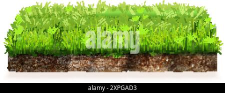 Realistic land piece. 3d soil square plot pieces, floating isolated ground slice lawn green grass, backyard field meadow piece eco environment advertising exact vector illustration authors graphics Stock Vector