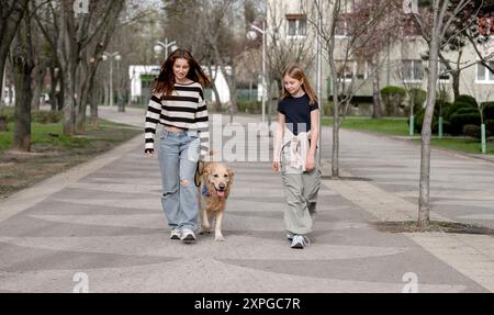 Two Girls Are Walking With A Golden Retriever Dog Along An Alley In Spring Stock Photo