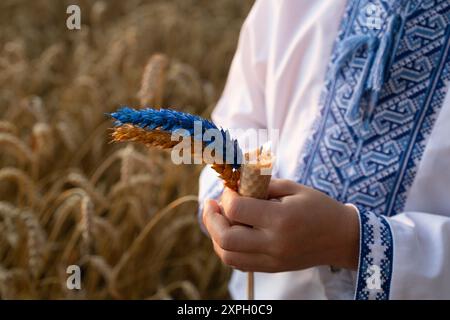 close-up of burning candle and two ears of wheat, painted in yellow-blue colors against of wheat field in hands of a Ukrainian child. Spikelets and fi Stock Photo