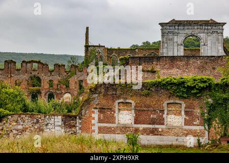 Ruins of ancient Aulne Abbey, brick walls covered with climbing plants and wild green vegetation, hill with trees on misty background, day with grey c Stock Photo