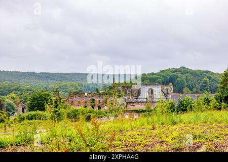 Meadow with wild vegetation and ruins of former Aulne Abbey in background, brick-covered walls, hill with trees against hazy grey sky covered with clo Stock Photo