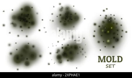 Set Black mold. Fungus, the wall of an apartment, a house, poisonous spores. Toxic health effects. Spot in the center on a light background. Vector re Stock Vector