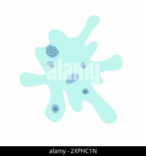 Vector isolated illustration of amoeba proteus on a white background. Studying the structure of an amoeba. Stock Vector