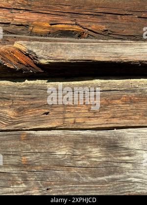 Old log wall. The logs are cracked and eaten by bugs. Stock Photo
