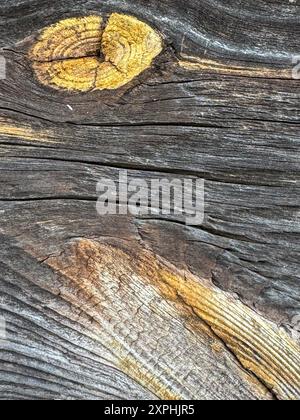 Old worn pine log. A knots with yellowed resin from age. Stock Photo