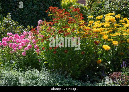 Insektenfreundlicher Garten mit Stauden, wie Phlox, Sonnenbraut und