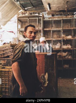 A young man stands with a pigeon on his shoulder in a bustling market in Alexandria. The scene captures the vibrant life of the marketplace and the human-animal bond. Photo taken in 2006. Stock Photo