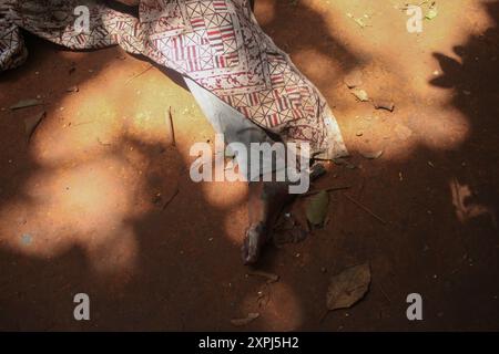 EDS NOTE GRAPHIC CONTENT. Dhaka, Dhaka, Bangladesh. 6th Aug, 2024. A charred body is seen lying in front of The Bangabandhu Memorial Museum on the road in Dhaka, Bangladesh on 06 August 2024.The Bangabandhu Memorial Museum is set on fire by anti-government protestors in Dhaka on August 5, 2024. (Credit Image: © Abu Sufian Jewel/ZUMA Press Wire) EDITORIAL USAGE ONLY! Not for Commercial USAGE! Credit: ZUMA Press, Inc./Alamy Live News Stock Photo