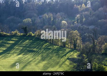 Long evening shadows cast by trees on a grassy ridge at Matlock, Debyshire, East Midlands, England, UK Stock Photo