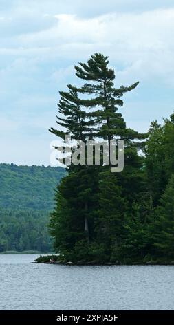 Grand lac Saint-Francois Frontenac national park, Quebec, Canada, North America, America Stock Photo