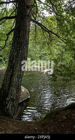 Grand lac Saint-Francois Frontenac national park, Quebec, Canada, North America, America Stock Photo