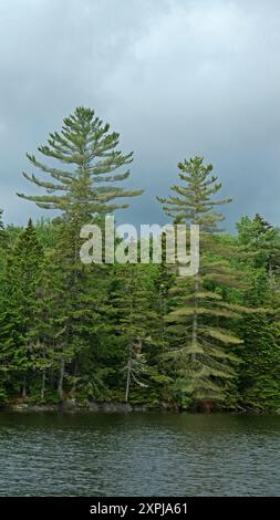 Grand lac Saint-Francois Frontenac national park, Quebec, Canada, North America, America Stock Photo